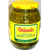 Orlando Grapeleaves