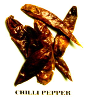 Chilli Pepper